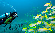 Best Time To Visit Andaman – Best Season to Visit in Andaman