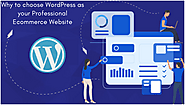 Why to choose WordPress as your Professional Ecommerce Website