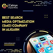 Best Search Media Optimization (SMO) Company In Aligarh