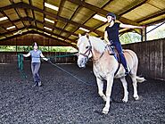 Lunge Lessons - High Beech Riding School