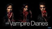 Watch The Vampire Diaries series Online :: Couchtuner Version 2.0