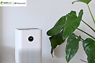 An overview of selecting the most suitable Office Air Purifier