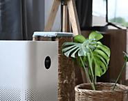 Experience the Difference: Plasma Technology Air Purifier