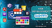 Web App Development | Goappx Clone Script | Flickr