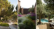 10 plantes pour un jardin méditerranéen