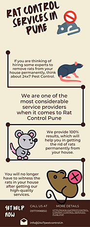 Rat Control Services in Pune