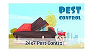 Effective Pest Control Services in Pune by 24x7 Pest Control by controlpankajpest - Issuu