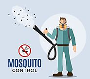 Get Mosquito Fogging Service in Pune