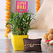 Rakhi with Personalised Gfts, Plants