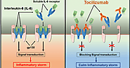 Role of Tocilizumab in COVID 19 - Alps Meditech
