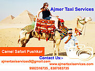 Website at https://www.ajmertaxiservices.com/pushkar-fair.html