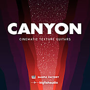 Canyon Cinematic Texture Guitars