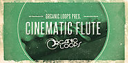 Cinematic Flute