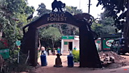 Polo Forest - Polo Monument and Vijaynagar Forest - Go Book Tour