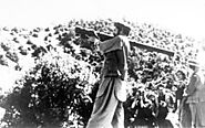 Operation Cyclone - Wikipedia