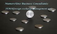 Financial Service Provider Business Consultants | NumeroUno