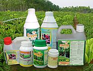 What Is the Future Role of Insecticides in Agriculture?