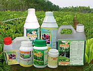 Top Reasons to Resort to the Application of Insecticides