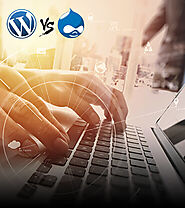 Drupal Vs Wordpress – Which CMS is Right for You for Website Development?