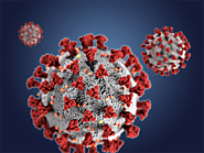 SARS-CoV-2 Proteins from Human cell (Spike & Nucleocapsid Protein / ACE2 Protein)