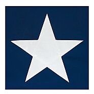 Nylon Texas Flag for sale in All Sizes at Ameritex Flag & Flagpole LLC
