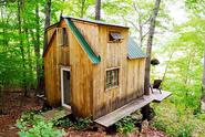 Young Couple Builds Cabin in the Forest for $4,000
