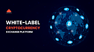 The Ins And Outs Of White-Label Crypto Exchange Platforms You Must Know Before Investing!