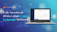 What made people embrace White-label Cryptocurrency Exchange Software?