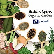 Where is the best place to buy herbs and organic spices online?