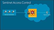 Sentinet - SOA services and REST APIs Access Control Management