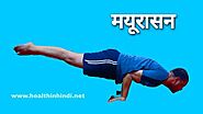 मयूरासन के 15 लाभ, करने का तरीका, सावधानियां (Mayurasana In Hindi) Health In Hindi.net