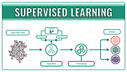 Anatomy of Reinforcement and Supervised Learning in Artificial Intelligence | Lifeyet