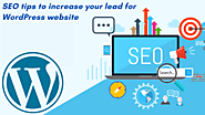   SEO tips to increase your lead for WordPress website...