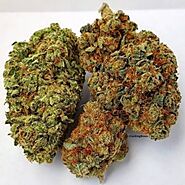 Order weed online UK, EU and USA, we are best online cannabis store
