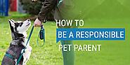 How to Be A Responsible Pet Parent