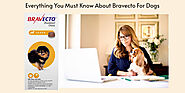 Everything You Must Know About Bravecto For Dogs - Pet Product Review