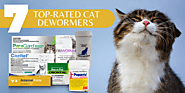7 Top-Rated Cat Dewormers of 2021 - CanadaVetCare