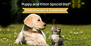 Puppy and Kitten Special Day – Establishment and Celebration