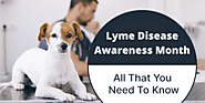 Lyme Disease Awareness Month: All That You Need To Know