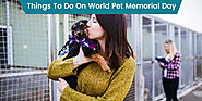 Things To Do on World Pet Memorial Day