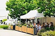 Rent The Best Marquee for Your Event - Google Search