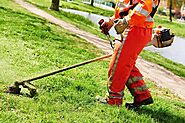 Weed Removal Services in San Bernardino CA