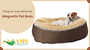 Everything You Need to Know About Magnetic Therapy Pet Bed Products