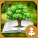 Pines to Vines - The Forest Biome