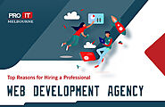 Top Reasons for Hiring a Professional Web Development Agency