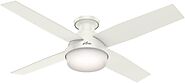 Hunter Dempsey Indoor Low Profile Ceiling Fan with LED Light and Remote Control
