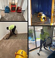 How to Choose the Right Professionals for Mould Removal in Melbourne