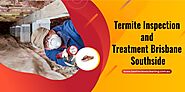 Termite Inspection and Treatment Brisbane Southside - Best Reviews Cleaning