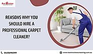 12 Reasons Why You Should Hire a Professional Carpet Cleaner Brisbane?