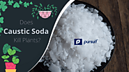Is caustic soda harmful to plants?